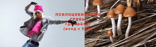 крисы Баксан