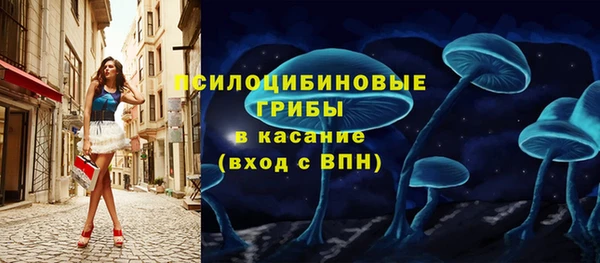 МДПВ Балахна